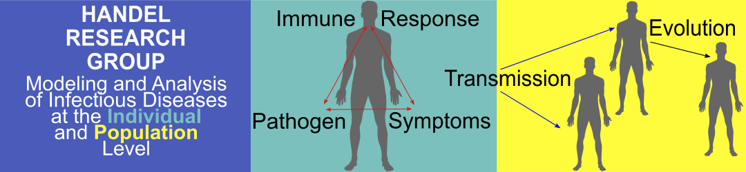 Header image with three panels. The first reads 'Handel Research Group. Modeling and analysis of infectious diseases at the individual and population level'. The second panel has a sillouhette of a man with 3 arrows pointing to each other in a triangle with the words: Immune Response, Pathogen, and Symptoms. The word 'Transmission' connects the second and third panels with arrows pointing to three sillouhettes of men and the word 'Evolution'.